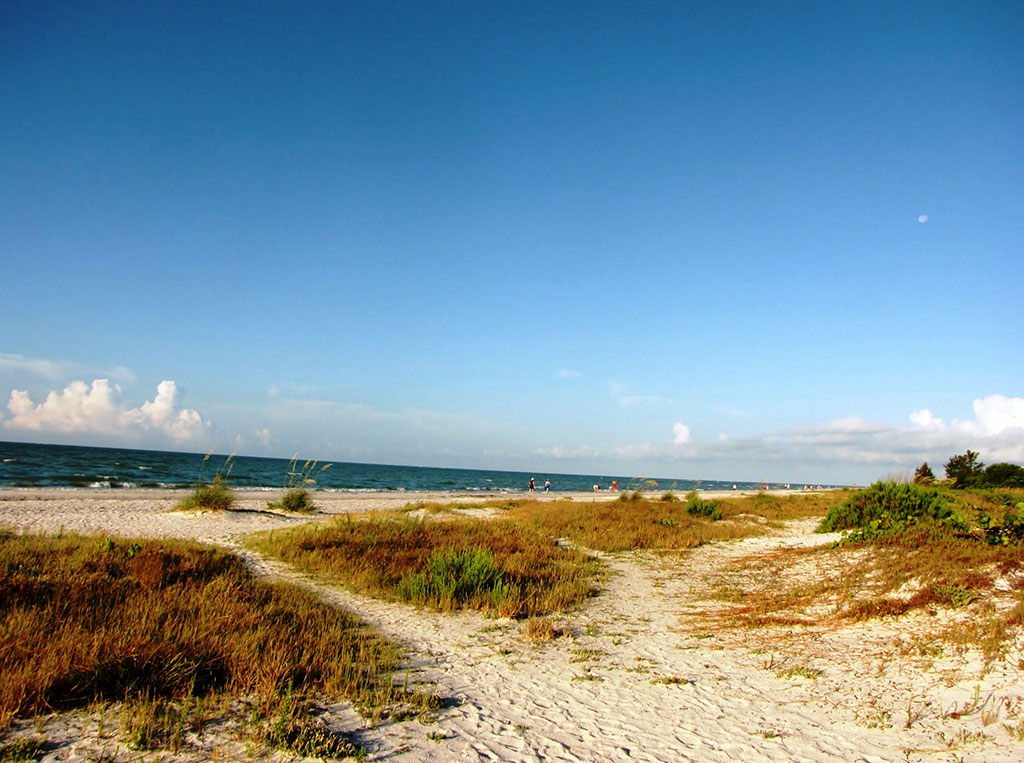 Coastal living